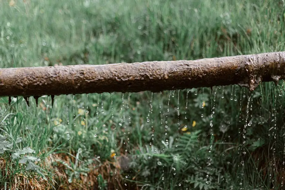 Aged rusted metal tube with dripping water above green lush lawn in garden